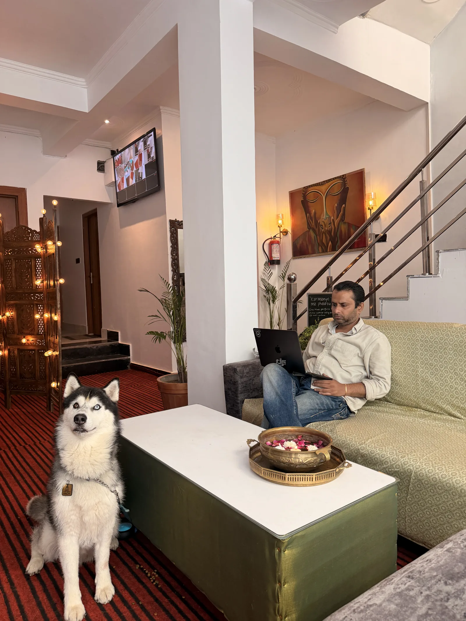 A guest and a husky in the lounge