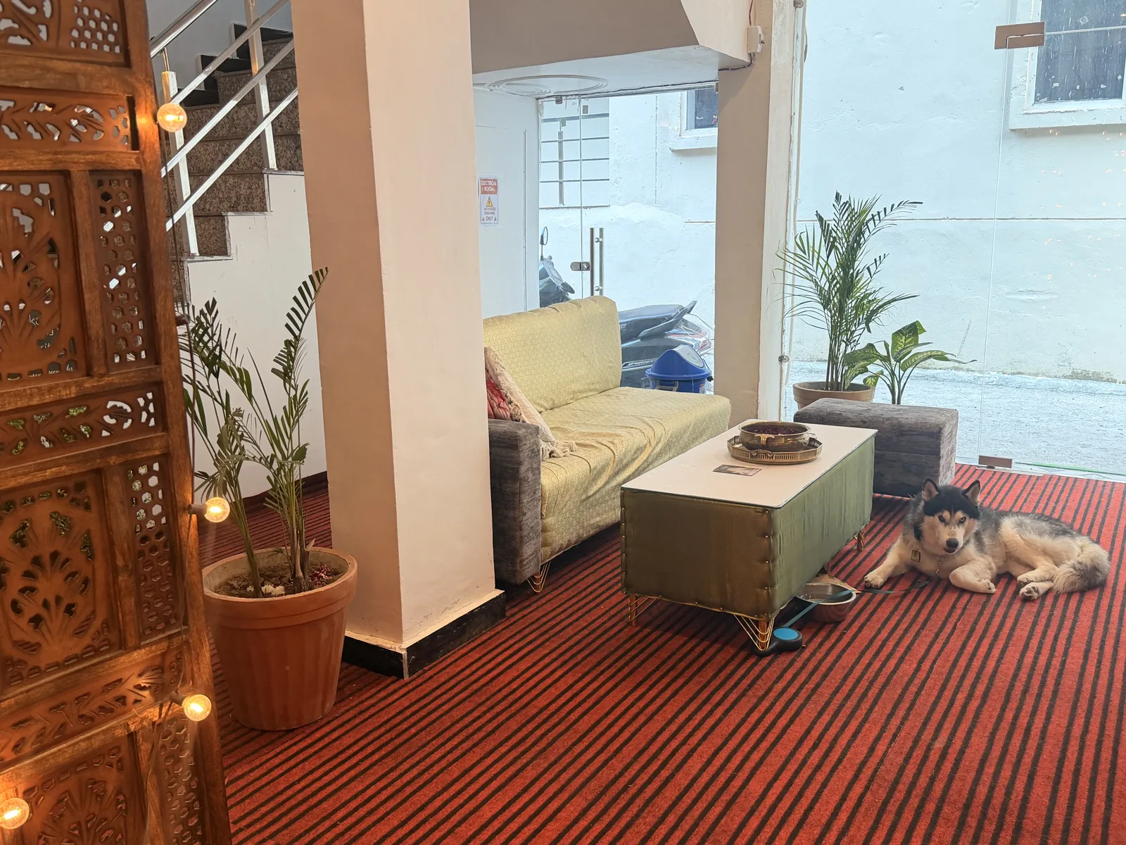 Sage seats and plants beside the lounge window
